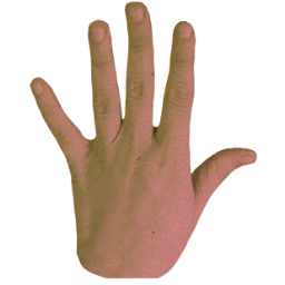 Hand.png