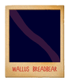 Photo of Wallus